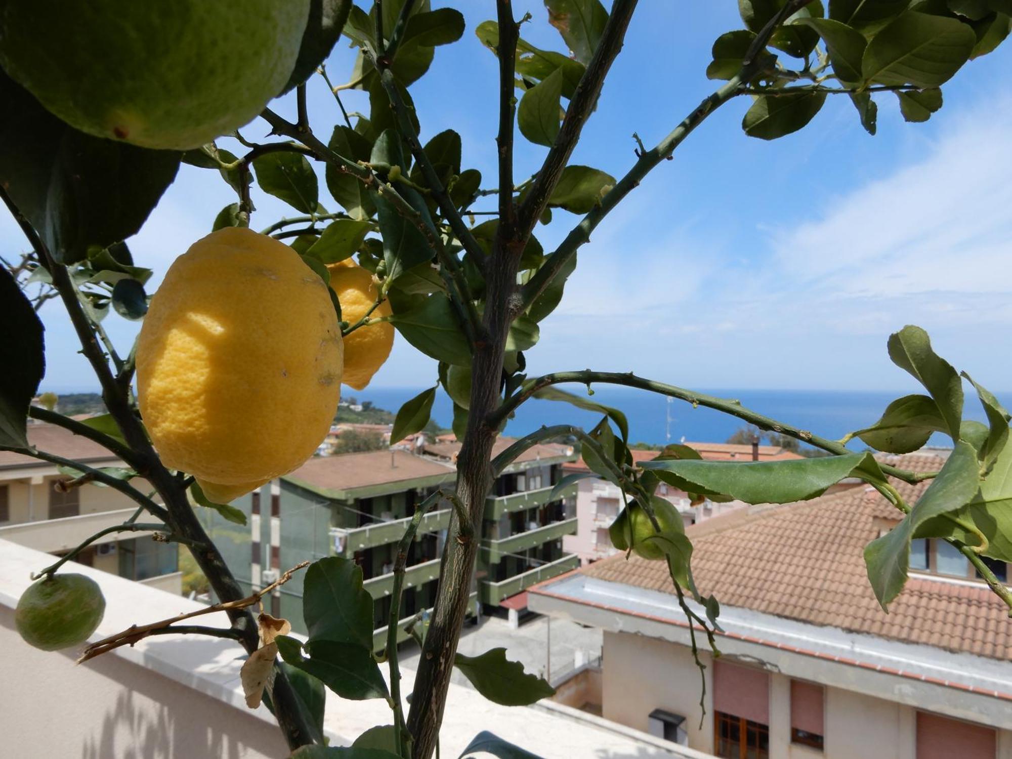 Middle Town Palace Tropea Eksteriør bilde